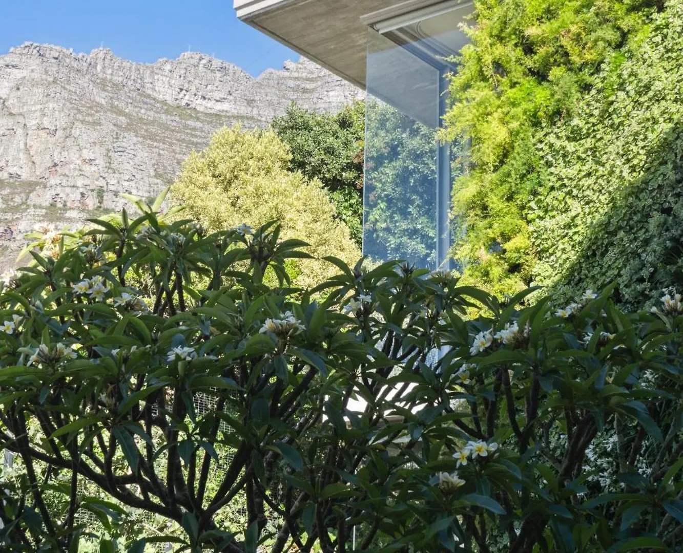 Brand New Dream Villa With Ocean View, Sauna & Gym Cape Town South Africa